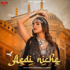 Aedi Niche Manish Rawal Aedi Niche Manish Rawal